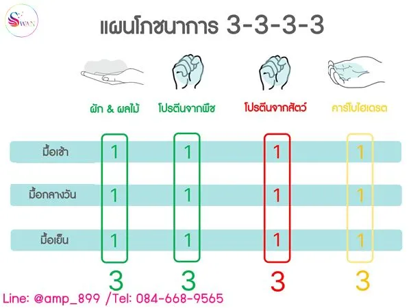 แผนโภชนาการ 3-3-3-3