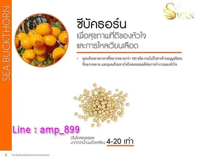 เครื่องดื่มผลไม้รวม-จี3-G3-นูสกิน-Nuskin-ราคา9 ซีบัคธอร์น