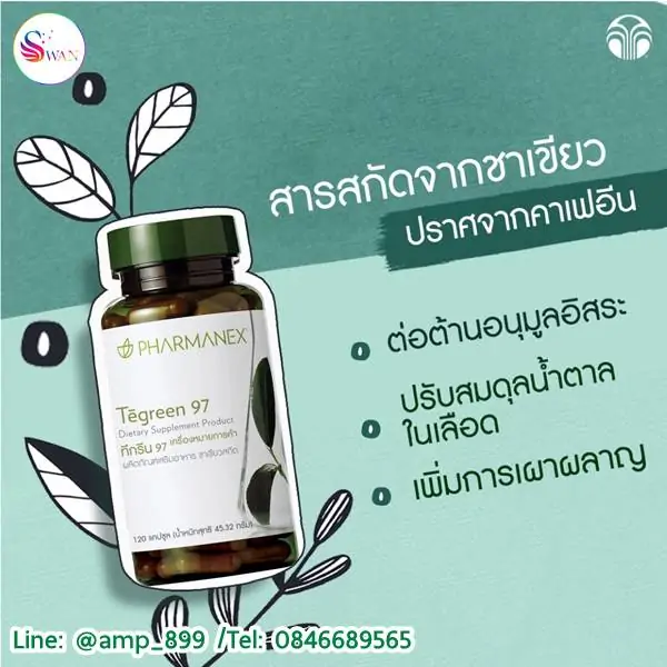 ทีกรีน 97 (Tegreen 97) สารสกัดจากชาเขียว - Image 2