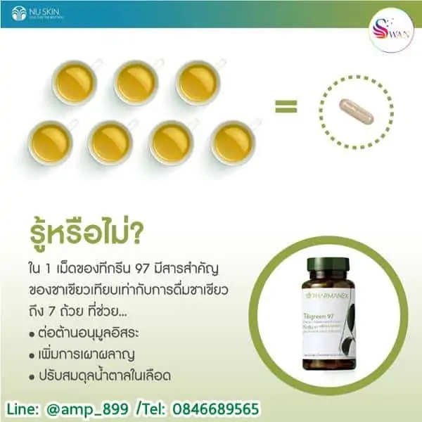 Tegreen97-nuskin-ทีกรีน97-นูสกิน-ชาเขียว-05