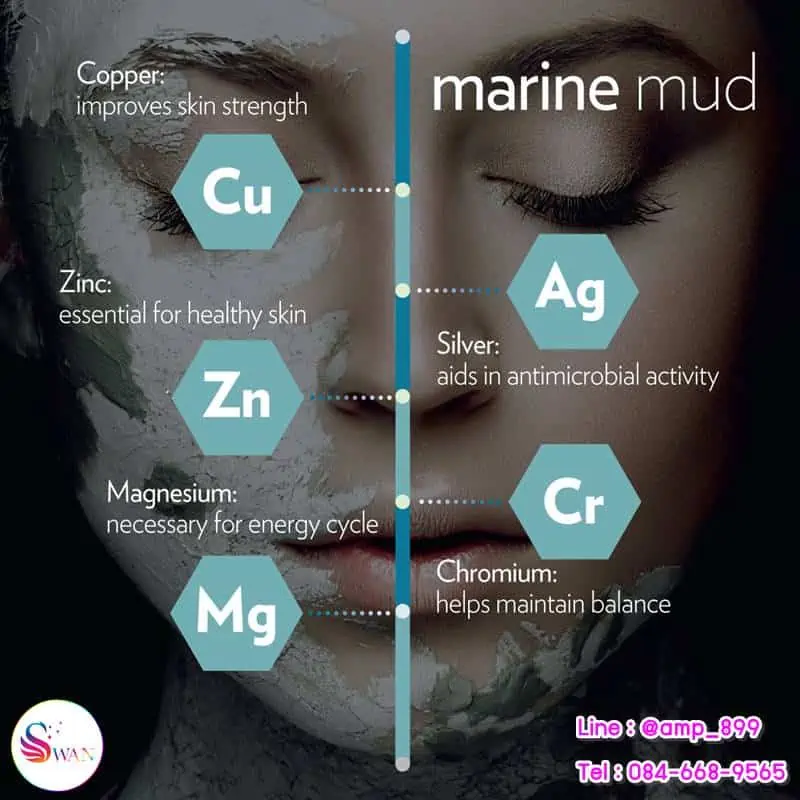 Epoch Glacial Marine Mud_อเปค กลาเชี่ยล มารีน มัด_นูสกิน_Nuskin_โคลนเขียว-6