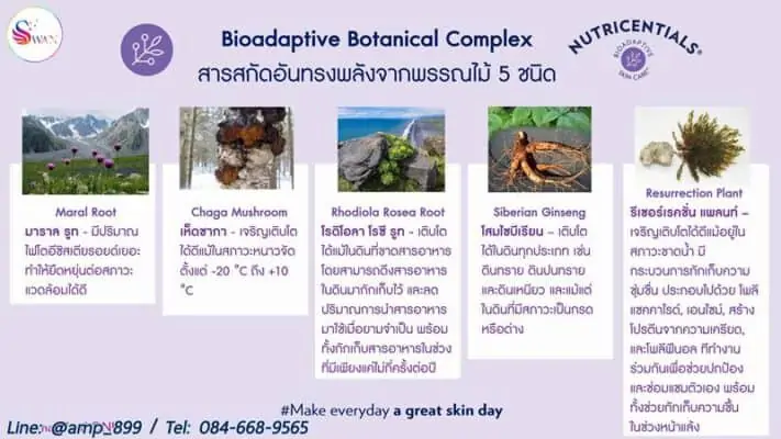 Nutricentials-Nuskin-นูทริเซนเชี่ยล-นูสกิน-Bioadpative-Botanical-Complex-2