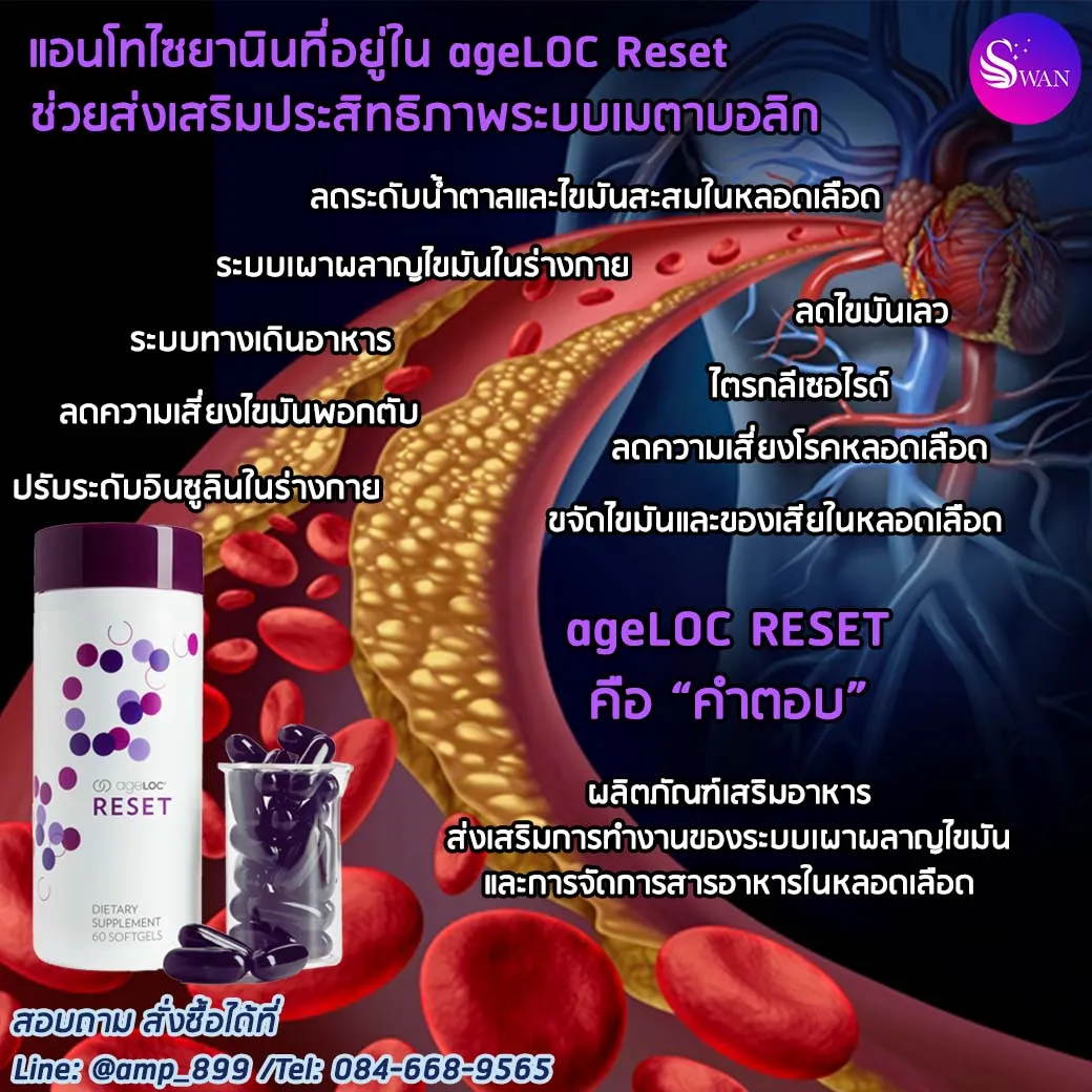ageLOC Reset Nuskin เอจล็อค รีเซ็ต นูสกิน - Benefits1