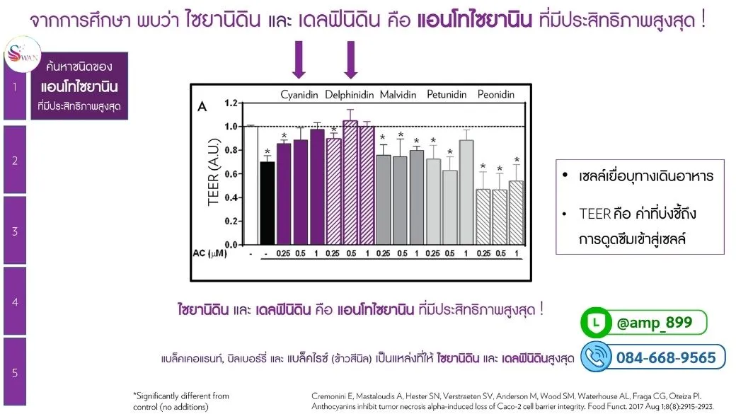 งานวิจัยพบว่า ไซยานิดิน (Cyanidin) และ เดลฟินิดิน (Delphinidin) คือ แอนโทไซยานิน 2 ชนิดที่มีประสิทธิภาพสูงสุดในบรรดาทั้งหมดที่ทดสอบ