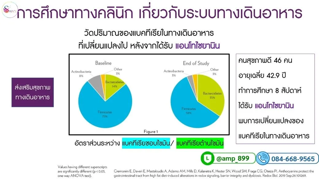 เอจล็อค รีเซ็ต นูสกิน ผลการศึกษาเกี่ยวกับระบบทางเดินอาหารและสุขภาพตับ