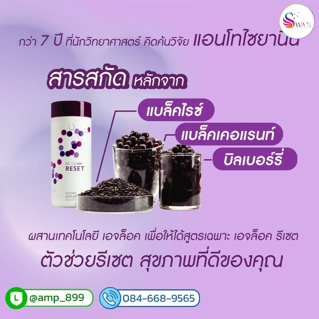 ageLOC Reset Nuskin - Ingredients