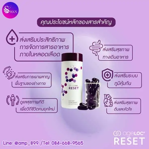ageLOC-Reset-Meta-Nuskin-เอจล็อค-รีเซ็ต-นูสกิน-Metabolic-Health-Thai-2