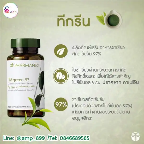 Tegreen97 ทีกรีน 97 สารสกัดจากชาเขียว