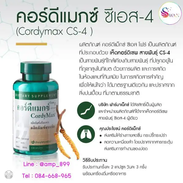 คอร์ดีแม็กซ์ ซีเอส-4 (CordyMax CS-4) ถั่งเช่า นูสกิน Nuskin