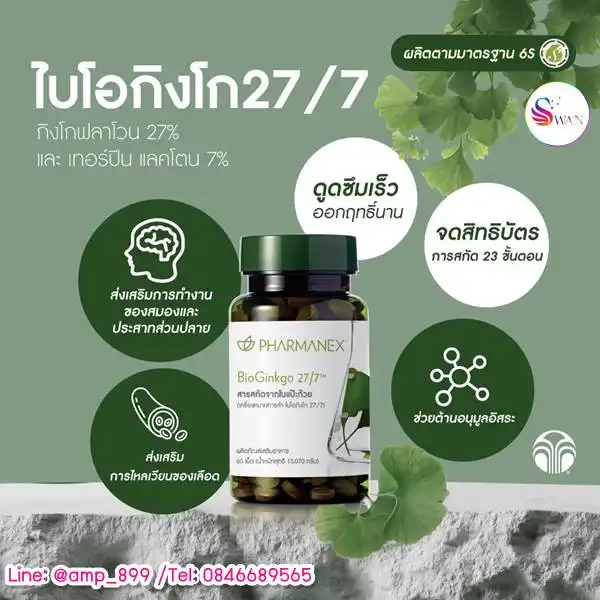 ไบโอกิงโก 27-7 Bio Ginkgo phamarnex nuskin อาหารเสริมนูสกิน สารสกัดจากใบแปะก๊วย