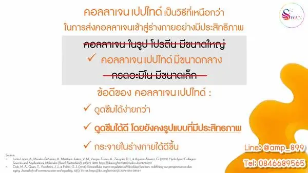 คอลลาเจน มี รูปแบบ