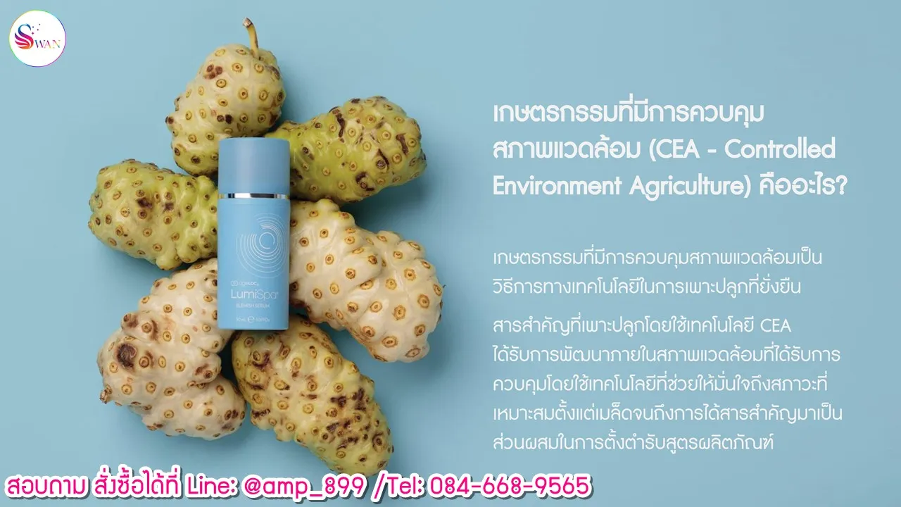 เกษตรกรรมที่มีการควบคุมสภาพแวดล้อม (CEA) คืออะไร????