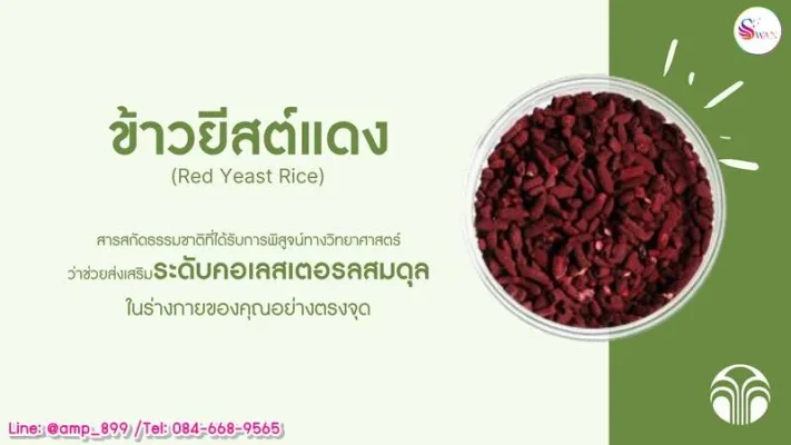 Cholesti MX Nuskin (คอเลสติ เอ็มเอ็กซ์ นูสกิน) สารสกัดจาก Red Yeast Rice (ข้าวยีสต์แดง) อาหารเสริม ช่วยลด คอเลสเตอรอล Cholesterol