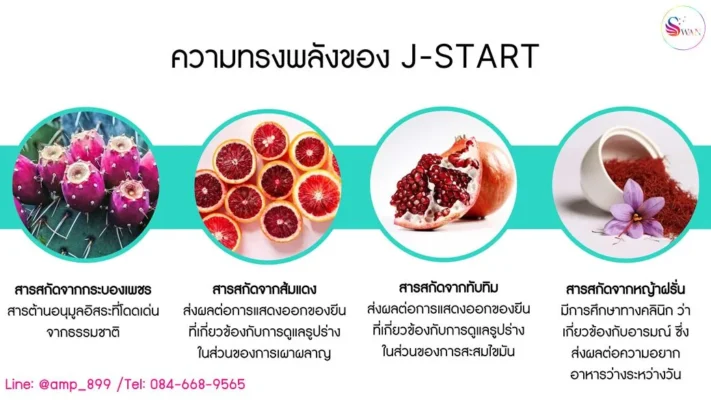 TRME J-Start Nuskin ทีอาร์มี เจ-สตาร์ท นูสกิน ส่วนผสม_09