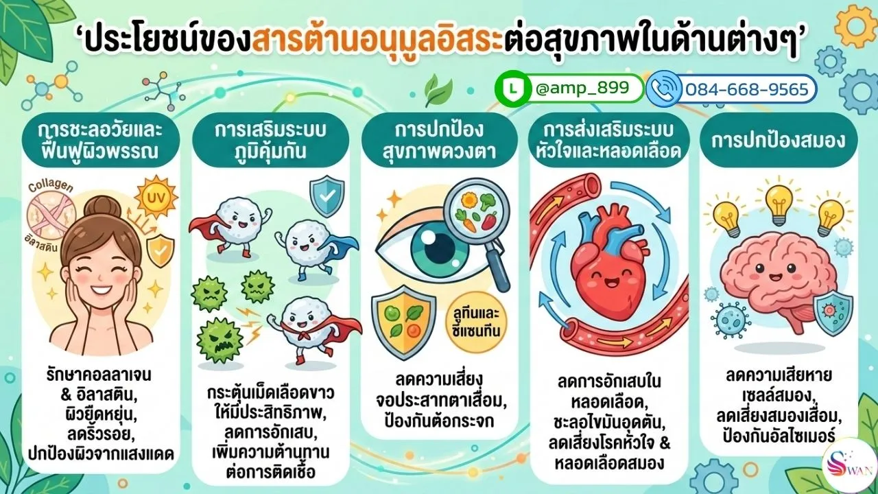 ประโยชน์ของสารต้านอนุมูลอิสระที่มีต่อร่างกายของเรา