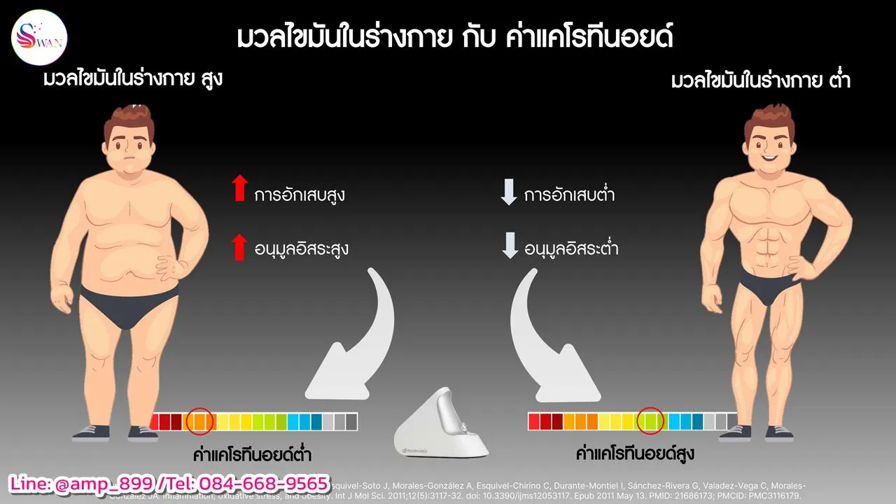 ความสัมพันธ์ระหว่างน้ำหนักตัว และค่าแคโรทีนอยด์