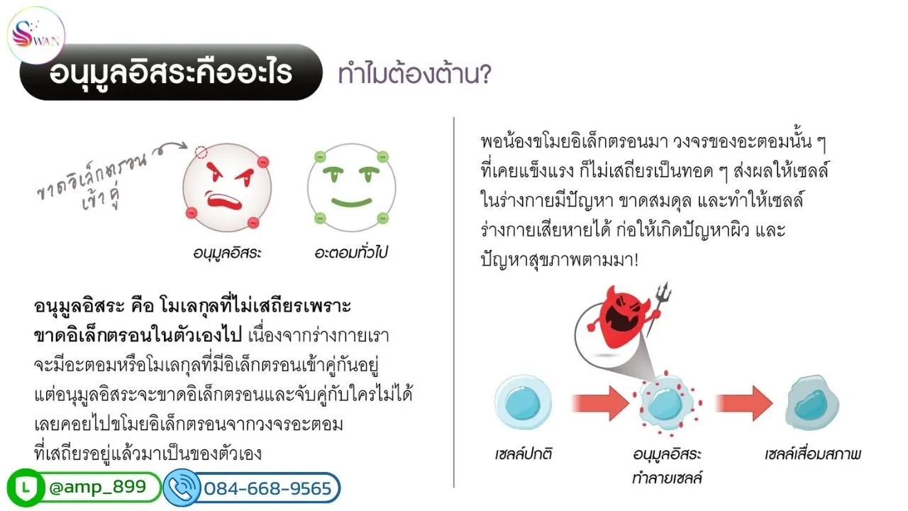 สารต้านอนุมูลอิสระ คืออะไร
