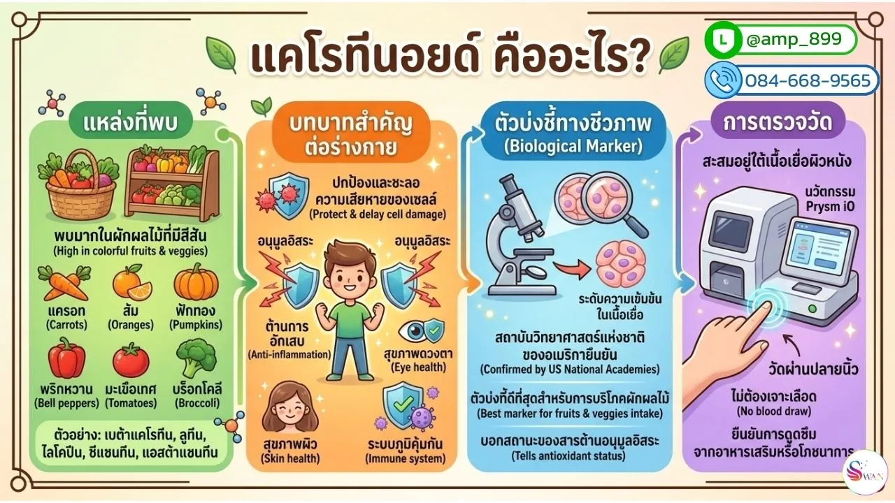 แคโรทีนอยด์ (carotenoids) คืออะไร