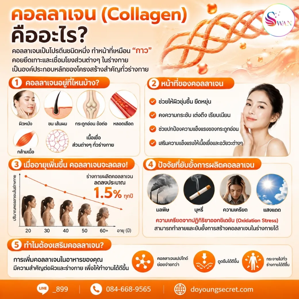 คอลลาเจน คืออะไร