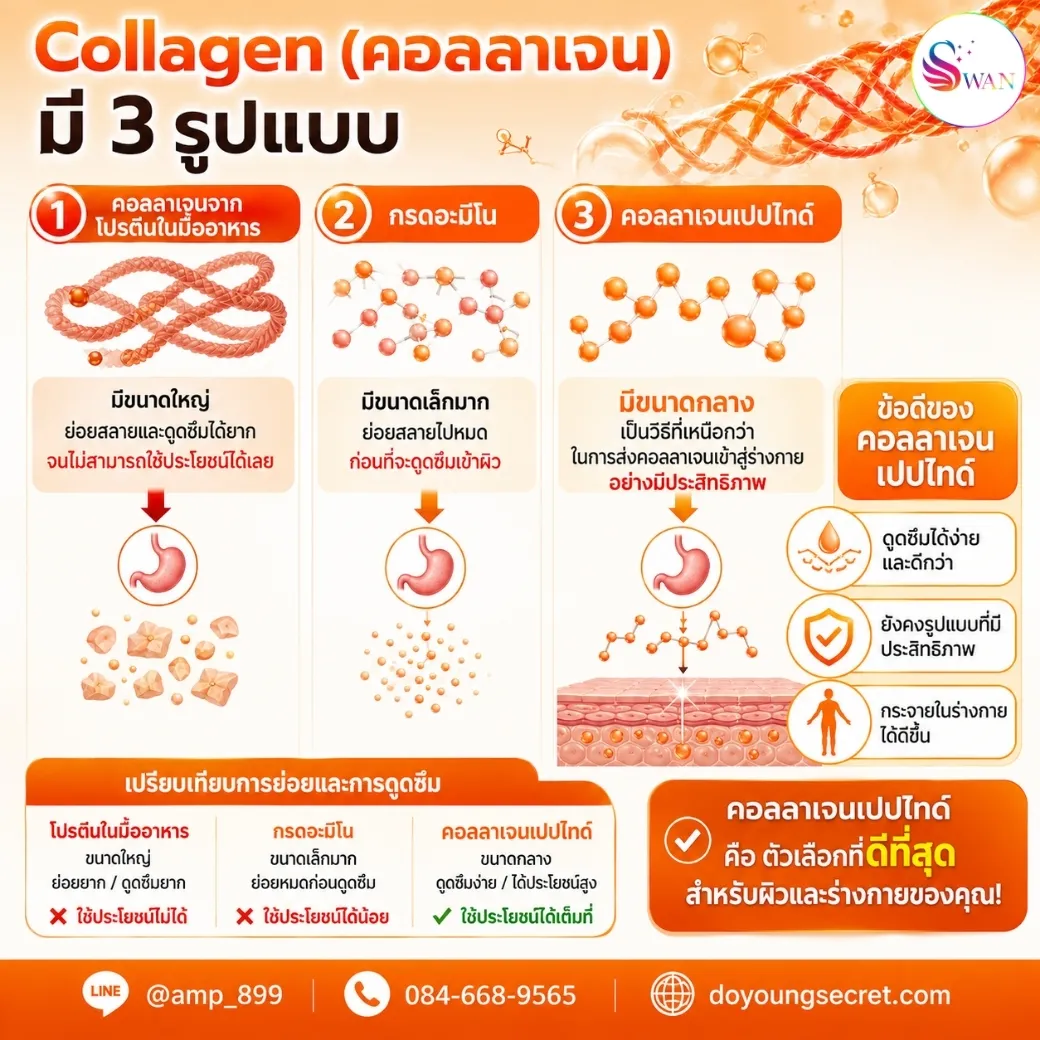 คอลลาเจน มี 3 รูปแบบ