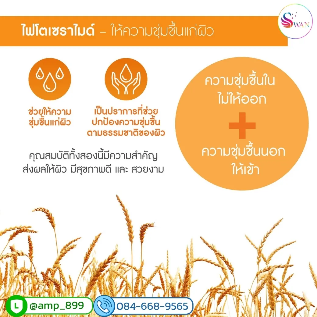 ประโยชน์ของ ไฟโตเซราไมด์ (Phytoceramides) สารสกัดจากข้าวสาลี