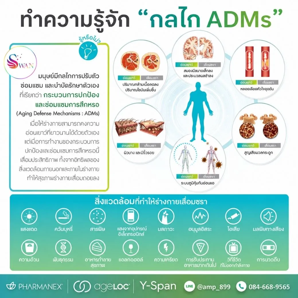 ADMS (Aging Defense Mechanisms) คืออะไร