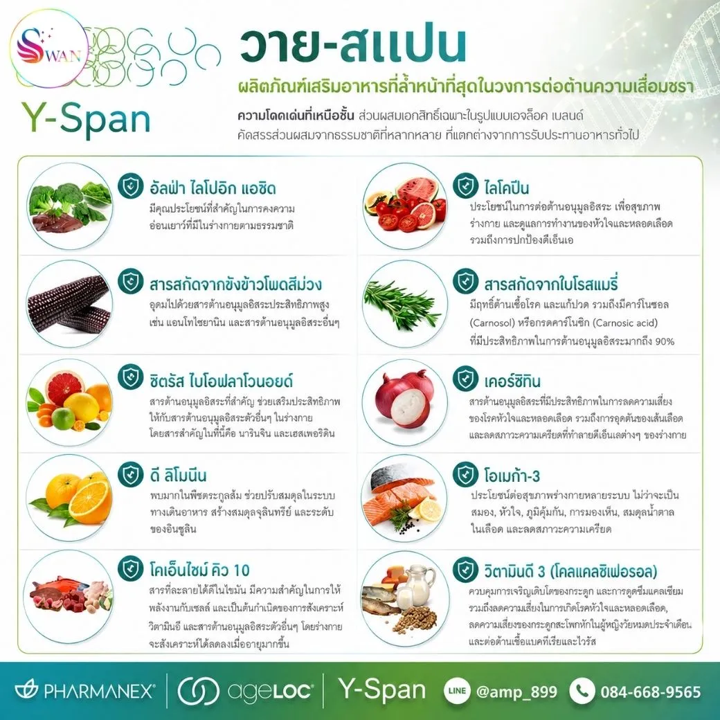 ageLOC Yspan Nuskin วายสแปน นูสกิน ส่วนประกอบสำคัญ
