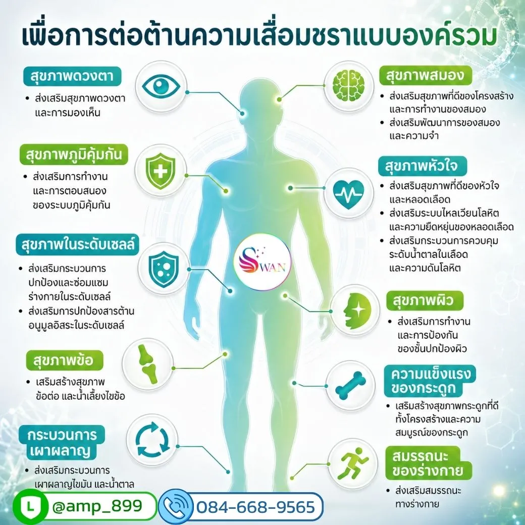 ageLOC Yspan Nuskin วายสแปน นูสกิน ประโยชน์