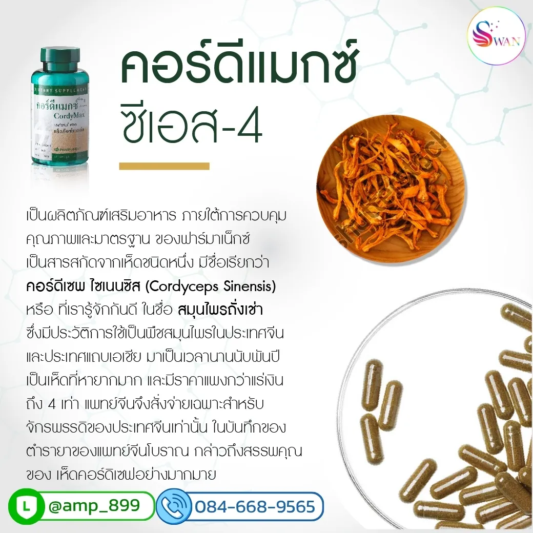 Cordymax CS-4 Nuskin ถั่งเช่าทิเบตแท้ 100% คืออะไร