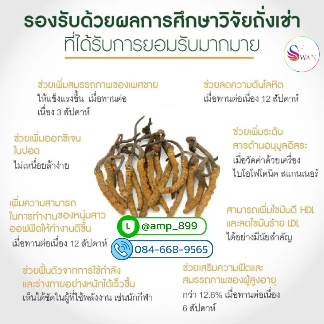 Cordymax CS-4 Nuskin นูสกิน ถั่งเช่า ทิเบตแท้ 100% Clinical Study