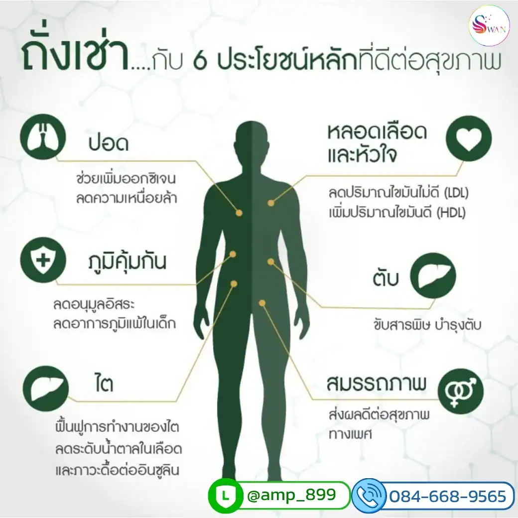 ประโยชน์ของ Cordymax CS-4 Nuskin นูสกิน ถั่งเช่า ทิเบต ต่อสุขภาพร่างกาย