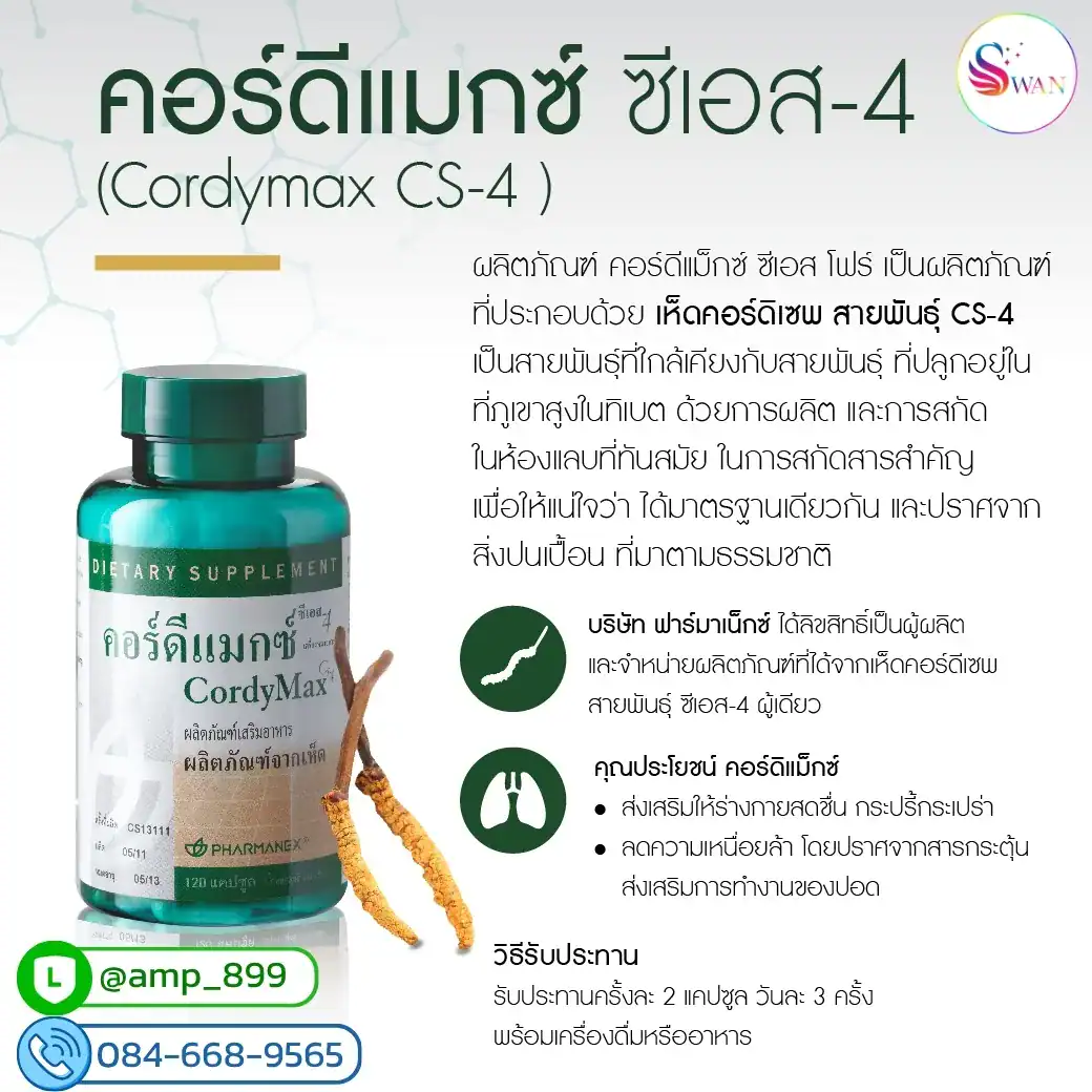 Cordymax CS-4 Nuskin ถั่งเช่าทิเบตแท้ 100% วิธีรับประทาน